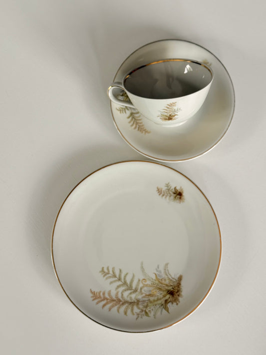 Set de mic dejun cu ferigi, Schriding