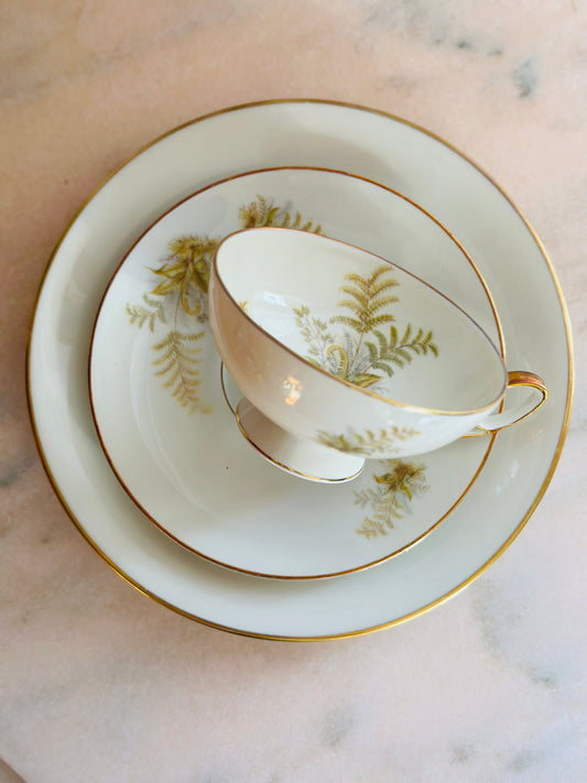 Set mic dejun cu ferigi