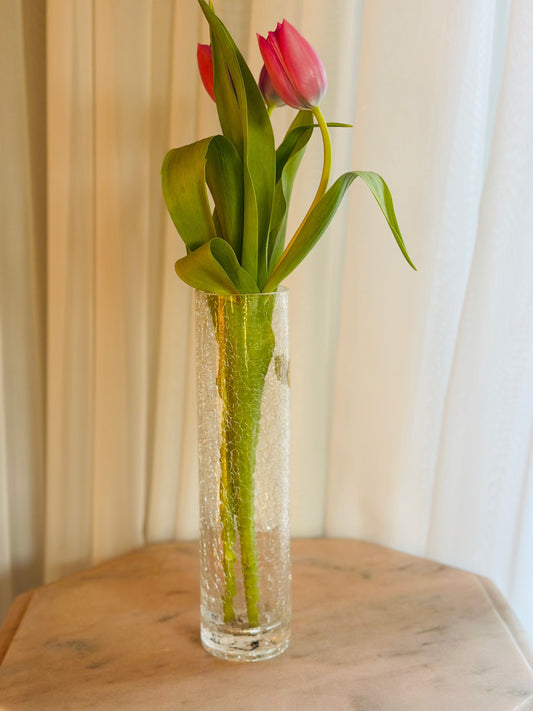 Vază tubulară de sticlă