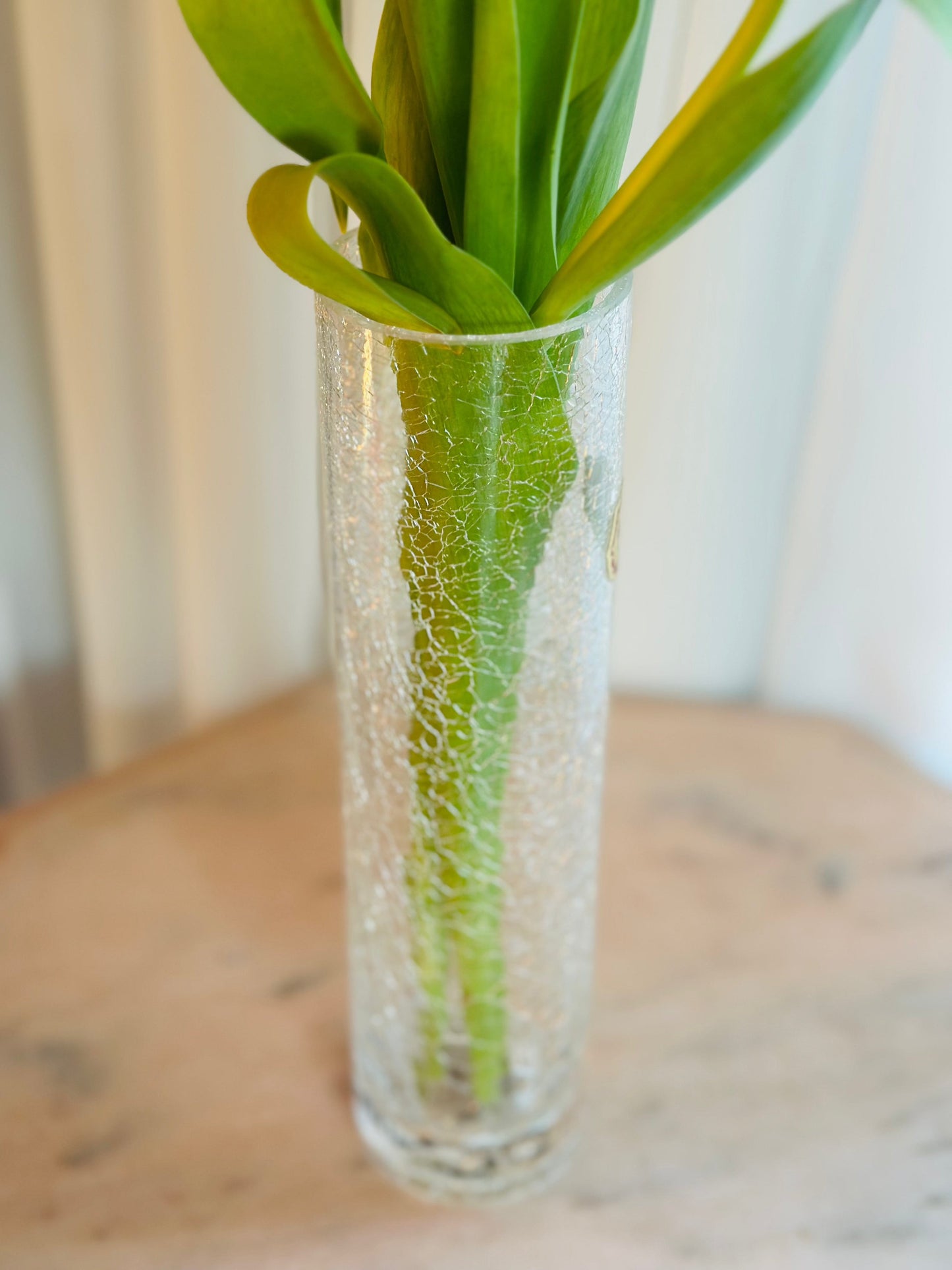 Vază tubulară de sticlă