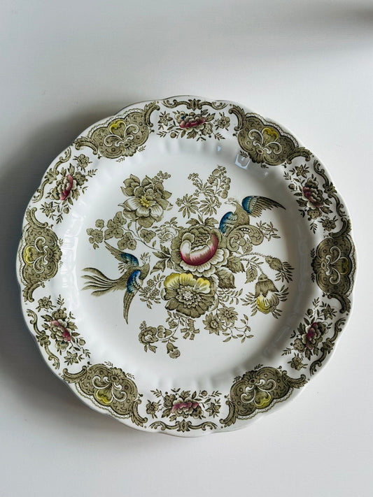 Platou pasărea Phoenix