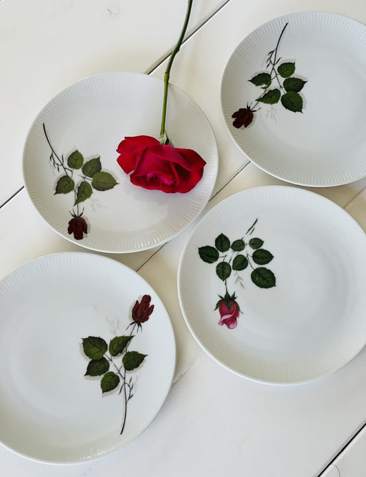 Trandafirul roșu și tort pentru toată lumea