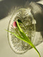 Platou oval de cristal, pentru aperitive