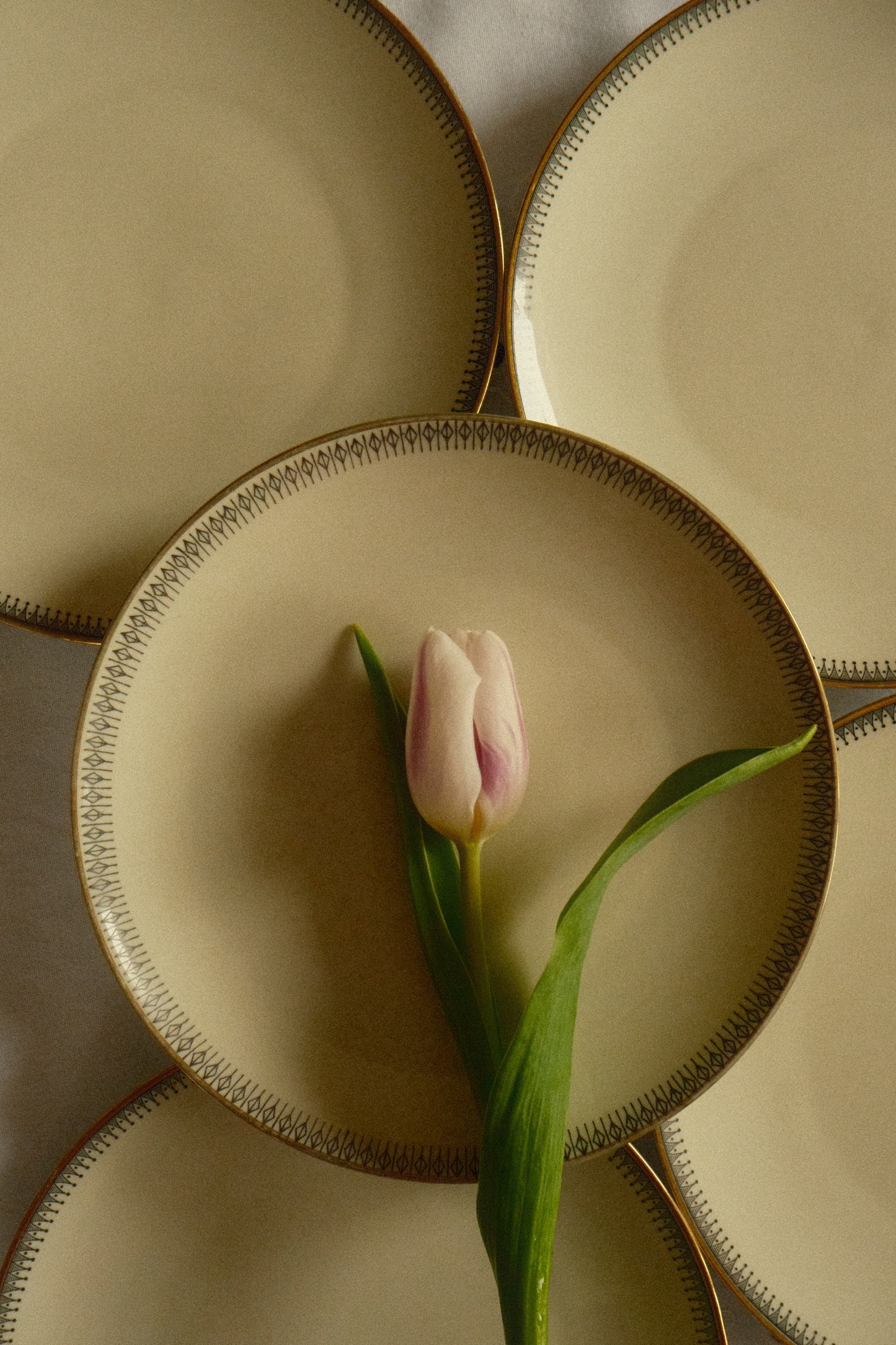 Set 5 farfurii art-deco Elfenbein